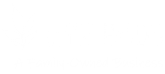Wise Hands