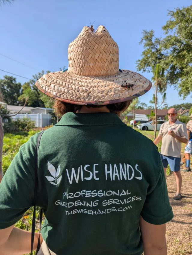 The Wise Hands team is always learning! 🌻 
Recently we had the chance to visit @springerenvironmental and got a tour of Troy Springer's Meadows! 🌼🪻🌺 
It was an incredible experience where our team learned new tips and tricks for creating and maintaining beautiful native Florida landscapes 🤗 
We even got to learn a little bit about urban prescribed burns (not a service we offer) and the best ways to remove weeds (a service we definitely offer) 😉 
When you have folks from Wise Hands working on your property you can trust that they are constantly adding to their already extensive knowledge, becoming more and more skilled with each day! 🐸
Get in touch with us at thewisehands.com 🌿 
. 
.
.
.
.
.
#education #landscaping #stpeteplantsociety #stpetelandscaping #womenwholandscape #landacapingstpete #stpetersburg #florida #floridanativelandscape #floridanativeplants #floridanativeplantsociety #medows #plantnative #restoreflorida #prescribedburn #tampa #tampabay #largo #dunedin #gulfport