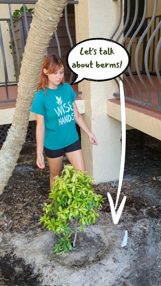 Our staff know all the special tips and tricks to help your landscape establish properly! 🤗🌱 
It may take a little extra elbow grease from us, but hey, "no berm, no good!" 😉 
We are happy to do what it takes to create beautiful native landscapes that will thrive, providing respite for traveling wildlife and busy folks like us 🙂‍↕️🌿 
.
.
.
.
.
.
 #wildlifecorridors #nativeplants #floridanativeplants #tampabay #stpetelandscaping #gulfport #nativelandscape #florida #floridanativeplantsociety #tampa #stpetersburg #largo #restoration #floridagardening #floridagarden #planttrees #FANN #fnps