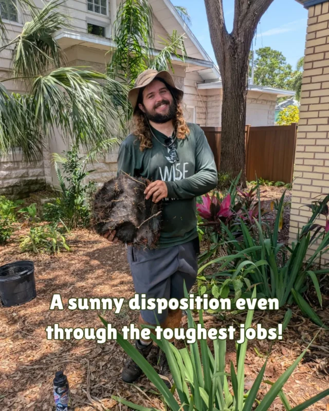 Our Wise Hands staff is always up for a challenge! 💪 
Recently we did a native install at a landscape that was covered in weed mat, hidden underneath the soil. Quite the unpleasant surprise we must say, but not something we can't handle! 🦸‍♀️ 
The team worked quickly and carefully to get the mat out of the way to install important native plants, creating a haven for our native wildlife and the folks of this community 🙂‍↕️
And darn it, we're happy to do it! 
Get in touch with us at thewisehands.com 🌱 
.
.
.
.
.
.
#nativelandscape #floridagardening #floridagarden #florida #floridanativeplants #floridanativeplantsociety #FANN #tampa #tampabay #stpete #stpetelandscaping #gulfport #clearwater #largo #fnps #nativelandscaping #nativeplants